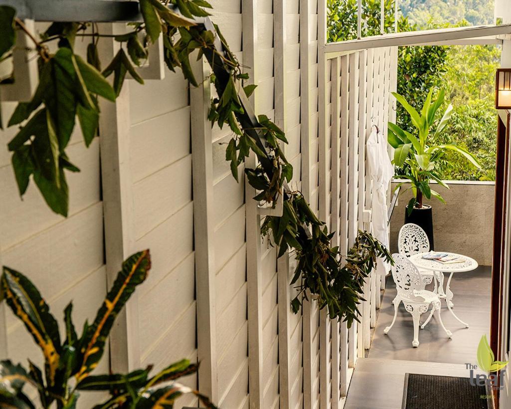 The Leaf Munnar Hotel Ngoại thất bức ảnh