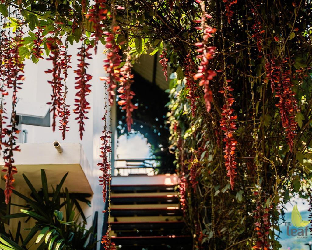 The Leaf Munnar Hotel Ngoại thất bức ảnh